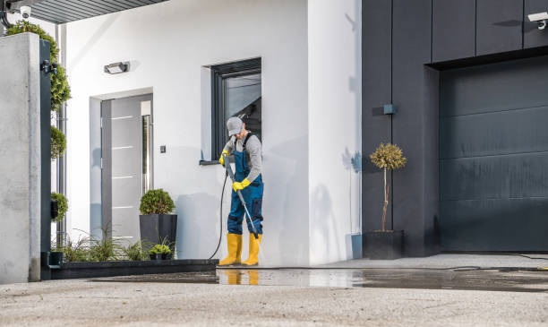 Best Gutter Cleaning and Brightening in West Orange, TX